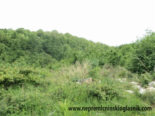 Slike Nepremi nine Nepremi ninski Oglasnik Prvi Video Oglasnik V Slike Nepremi nine Nepremi ninski Oglasnik Prvi Video Oglasnik V